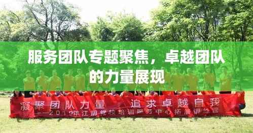 服务团队专题聚焦,卓越团队的力量展现