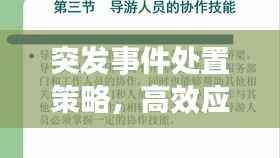 突发事件处置策略,高效应对,保障安全!