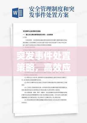 突发事件处置策略,高效应对,保障安全!