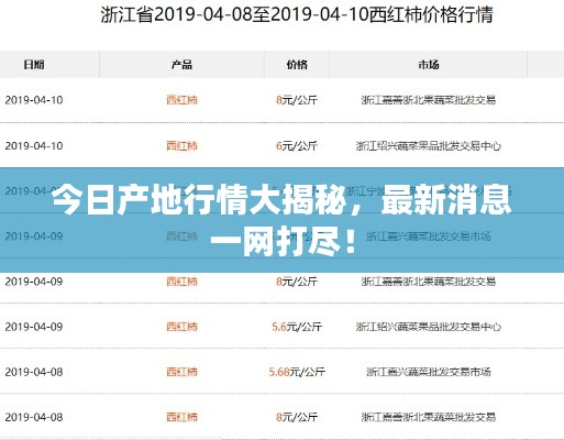 今日产地行情大揭秘,最新消息一网打尽!