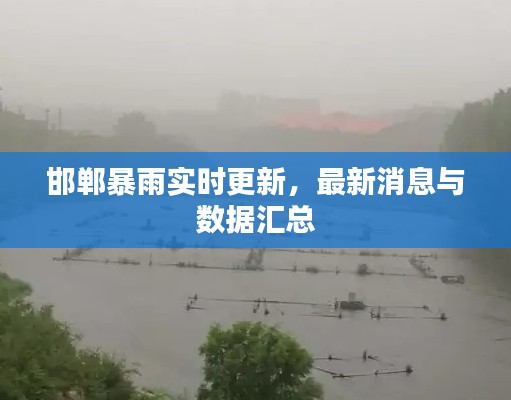 邯郸暴雨实时更新,最新消息与数据汇总
