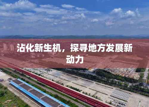 沾化新生机,探寻地方发展新动力