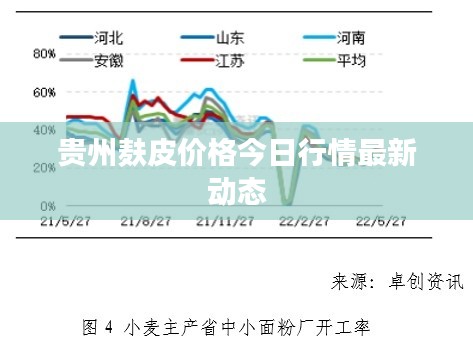 贵州麸皮价格今日行情最新动态