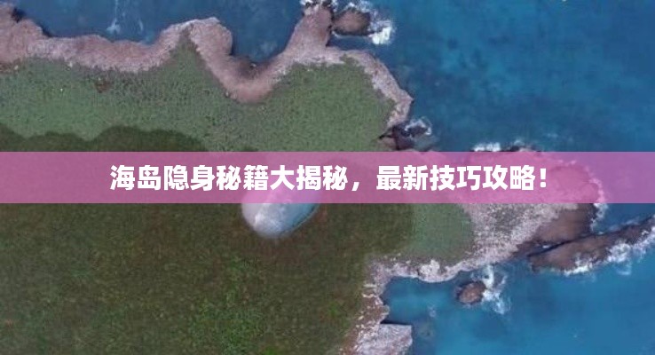 海岛隐身秘籍大揭秘,最新技巧攻略!