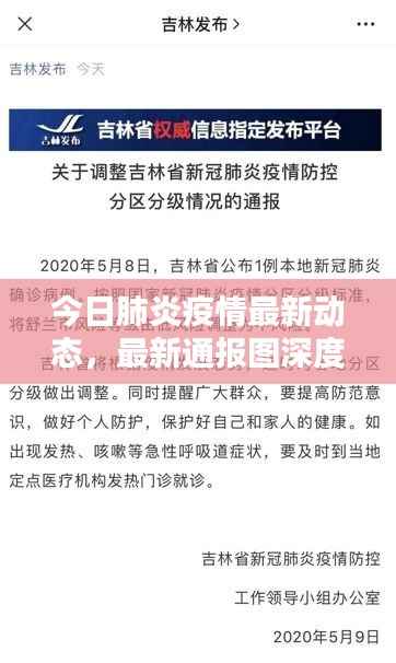 今日肺炎疫情最新动态,最新通报图深度解析
