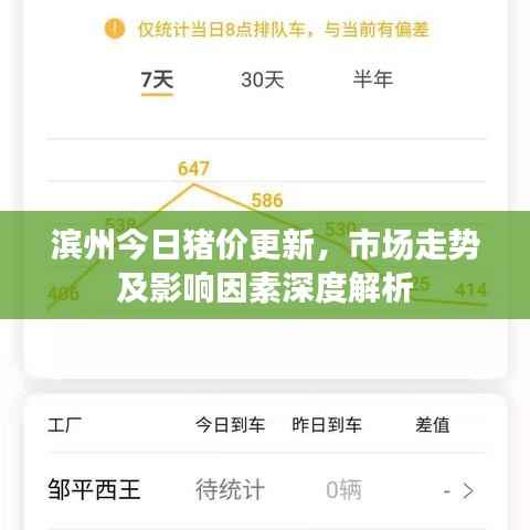 滨州今日猪价更新,市场走势及影响因素深度解析