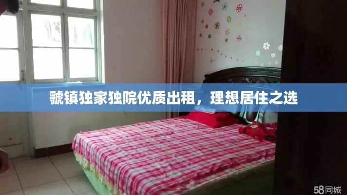 虢镇独家独院优质出租,理想居住之选