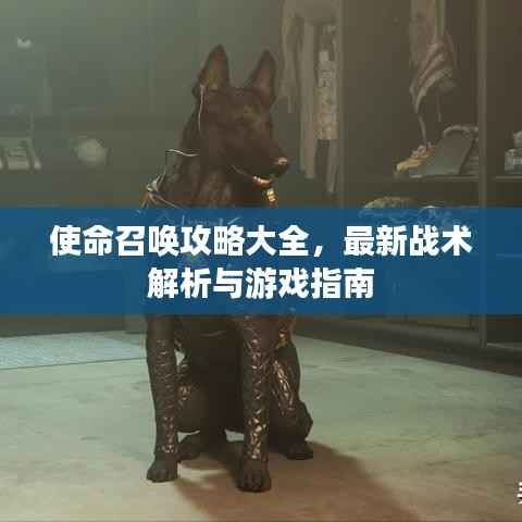 使命召唤攻略大全,最新战术解析与游戏指南