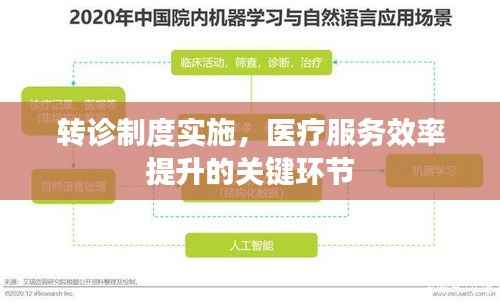 转诊制度实施,医疗服务效率提升的关键环节