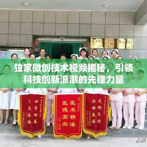 六鹢退飞 第2页