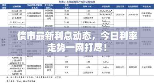 债市最新利息动态,今日利率走势一网打尽!