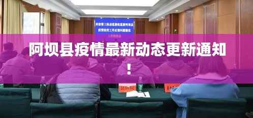 井底之蛙 第2页