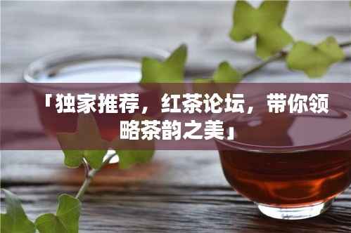 「独家推荐,红茶论坛,带你领略茶韵之美」