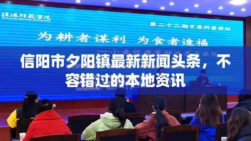 信阳市夕阳镇最新新闻头条,不容错过的本地资讯