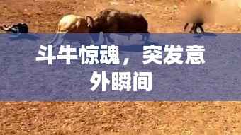 斗牛惊魂,突发意外瞬间