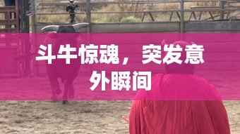 斗牛惊魂,突发意外瞬间