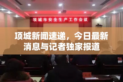 项城新闻速递,今日最新消息与记者独家报道