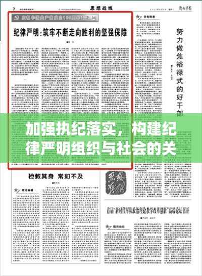 加强执纪落实,构建纪律严明组织与社会的关键所在