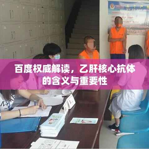 百度权威解读,乙肝核心抗体的含义与重要性