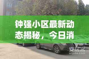 钟强小区最新动态揭秘,今日消息一网打尽!