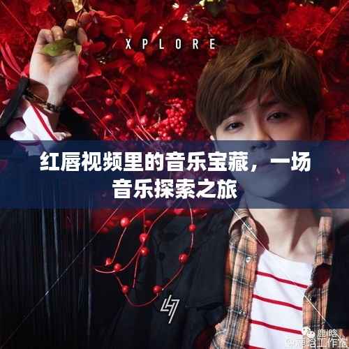 红唇视频里的音乐宝藏,一场音乐探索之旅