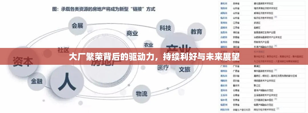 大厂繁荣背后的驱动力,持续利好与未来展望
