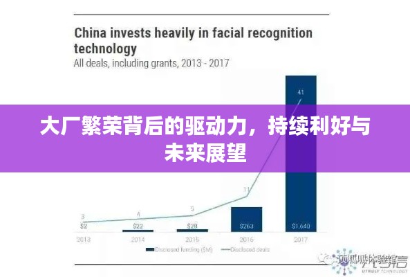 大厂繁荣背后的驱动力,持续利好与未来展望