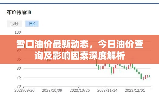 雪口油价最新动态,今日油价查询及影响因素深度解析