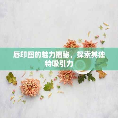 唇印图的魅力揭秘,探索其独特吸引力