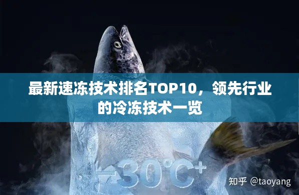 最新速冻技术排名TOP10,领先行业的冷冻技术一览