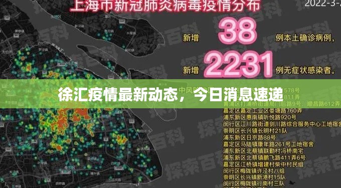 徐汇疫情最新动态,今日消息速递