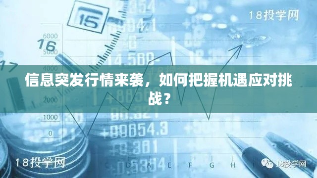信息突发行情来袭,如何把握机遇应对挑战?