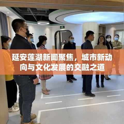 延安莲湖新闻聚焦,城市新动向与文化发展的交融之道