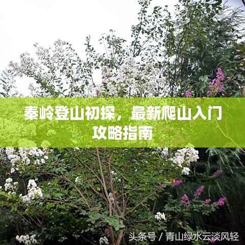 秦岭登山初探,最新爬山入门攻略指南