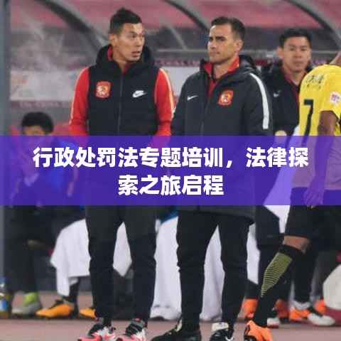 行政处罚法专题培训,法律探索之旅启程