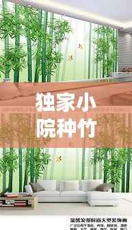 独家小院种竹宝典,打造绿意盎然的小天地