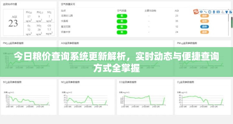 今日粮价查询系统更新解析,实时动态与便捷查询方式全掌握