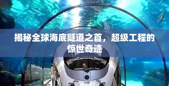 揭秘全球海底隧道之首,超级工程的惊世奇迹