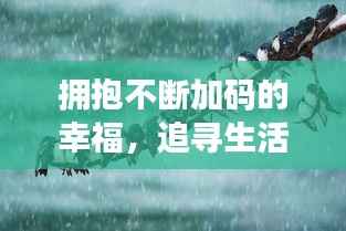 拥抱不断加码的幸福,追寻生活中的更多美好时光