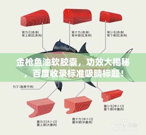 金枪鱼油软胶囊,功效大揭秘,百度收录标准吸睛标题!