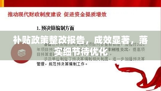 补贴政策整改报告,成效显著,落实细节待优化