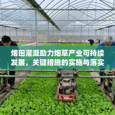 烟田灌溉助力烟草产业可持续发展,关键措施的实施与落实