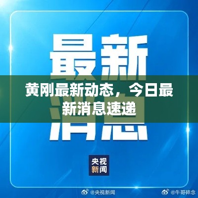 黄刚最新动态，今日最新消息速递