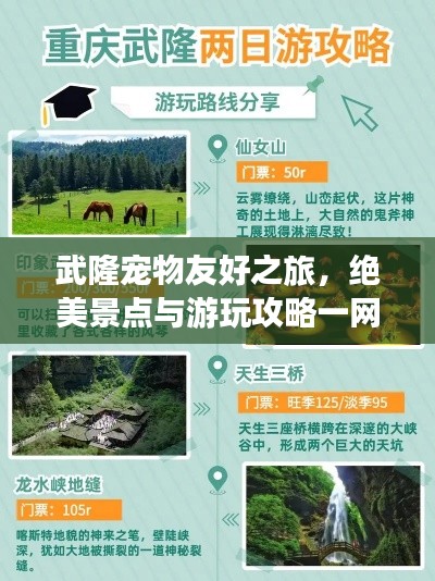 武隆宠物友好之旅,绝美景点与游玩攻略一网打尽!