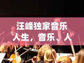 汪峰独家音乐人生，音乐、人生与时代的交响乐章（2013）