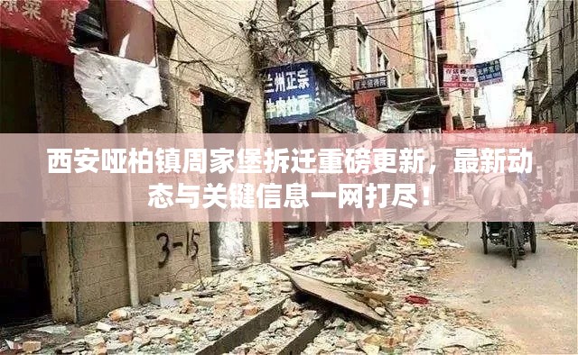 西安哑柏镇周家堡拆迁重磅更新,最新动态与关键信息一网打尽!