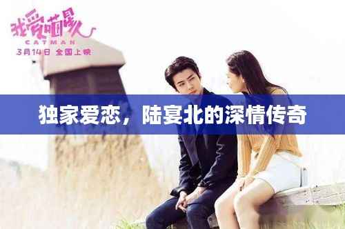 独家爱恋,陆宴北的深情传奇