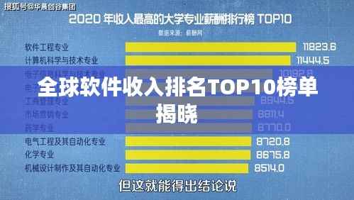全球软件收入排名TOP10榜单揭晓