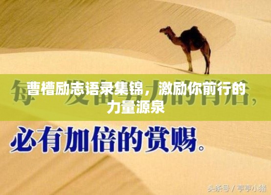 曹槽励志语录集锦,激励你前行的力量源泉