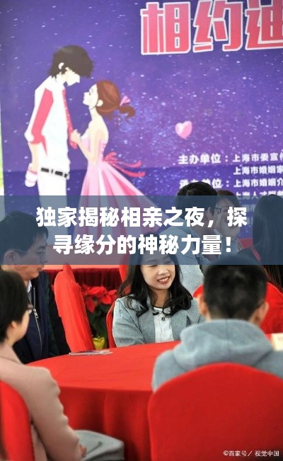 独家揭秘相亲之夜,探寻缘分的神秘力量!